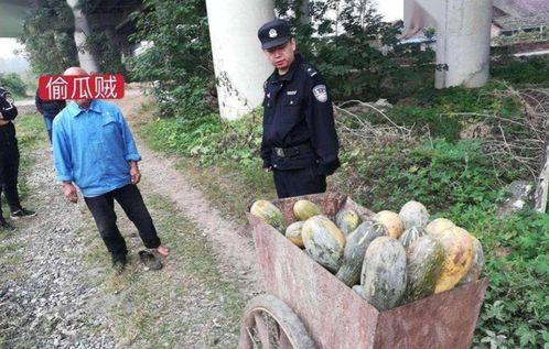 武都网红吃瓜事件真相视频,真相视频曝光背后的真相