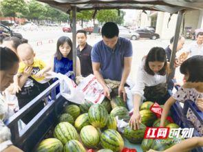 宁乡网红吃瓜事件视频最新,真相揭秘，网络舆论的漩涡与反思