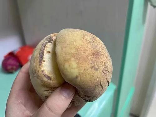 网红桃子吃瓜,揭秘网红圈背后的那些事儿