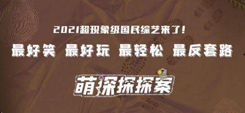 黑客网免费吃瓜独家爆料八卦,黑客网免费吃瓜背后的惊人八卦